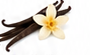 Pure Vanilla Essential Oil