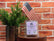 Soy Wax Melts