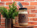Wood Wick Soy Candles