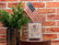 Soy Wax Melts