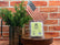Soy Wax Melts