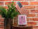 Soy Wax Melts