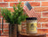Wood Wick Soy Candles