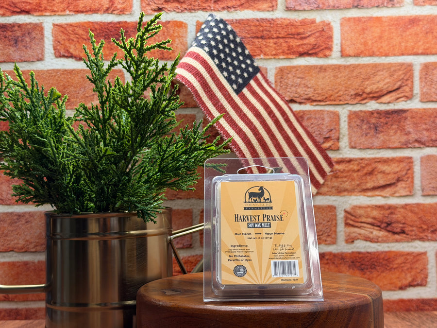 Fall SEASONAL - Soy Wax Melts