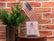 Soy Wax Melts