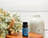 Essential Oils