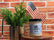 Wood Wick Soy Candles