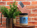 Wood Wick Soy Candles