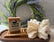 Specialty Soap Bars