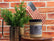 Wood Wick Soy Candles