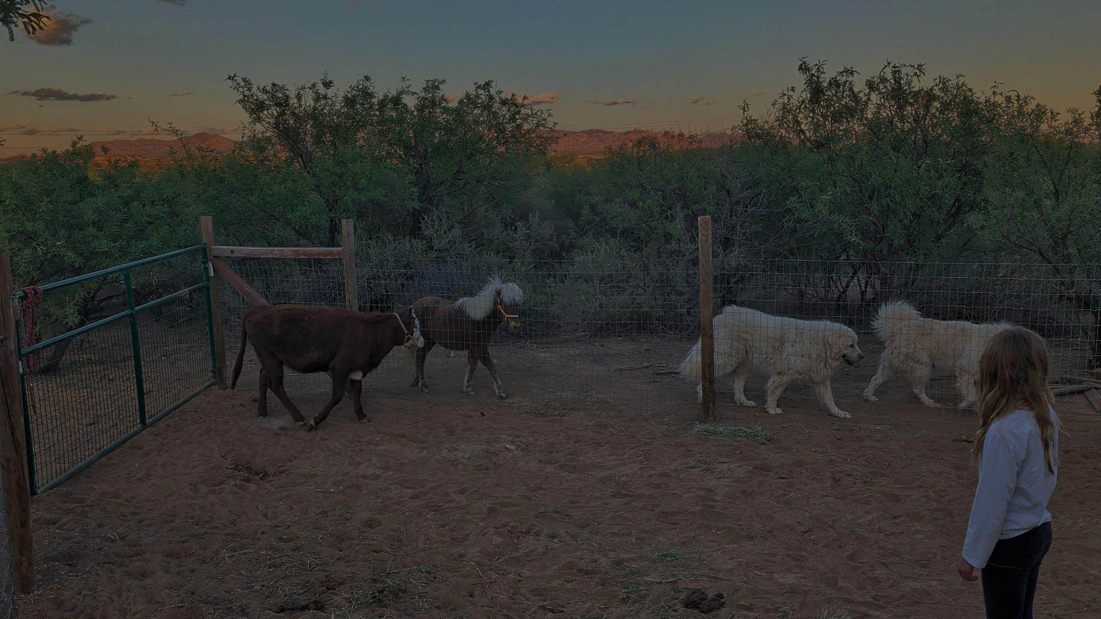 Eden's Echo Farmstead family farm with goats and livestock